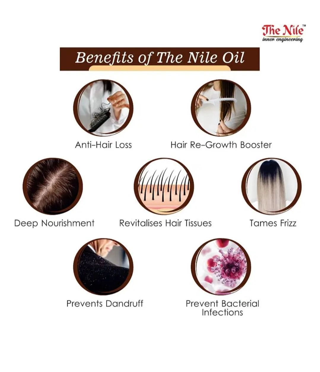 The Nile Castor Oil + Olive Oil + Sweet Almond Oil Combo - Pure Cold Pressed Oils for Hair & Skin - No Parabens, Sulphate, Silicones, Color - 100ml Each - Pack of 3 5