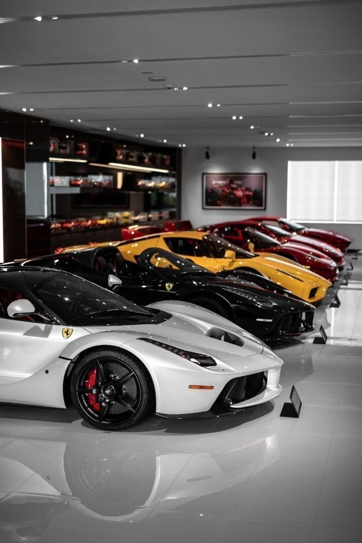 CAR COLLECTION