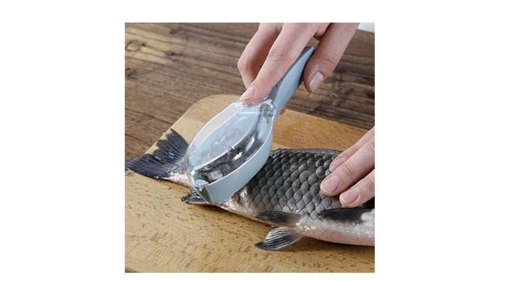 Fish Skin Scale Scraper Peeler Fish Tools Kitchen Gadget 3