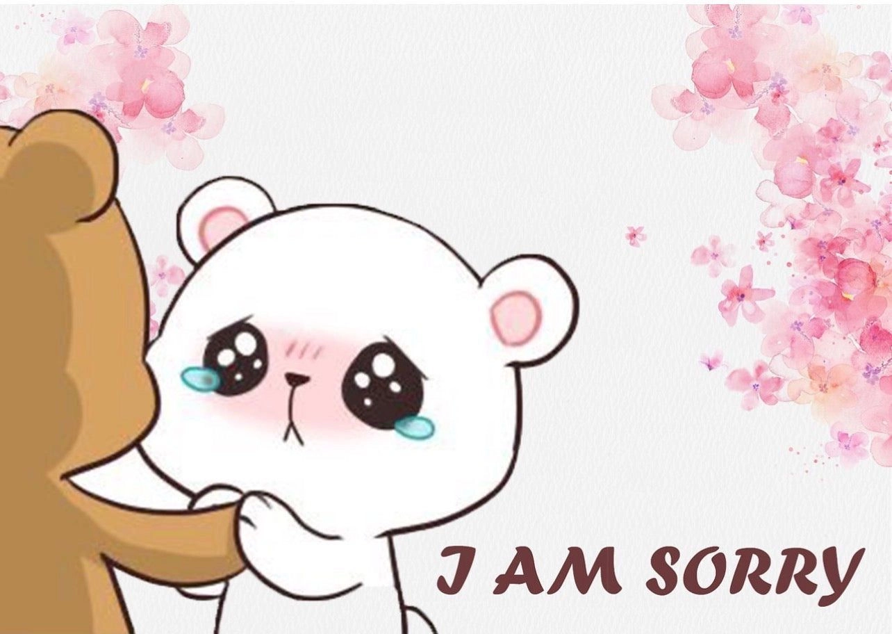 I am sorry sticker
