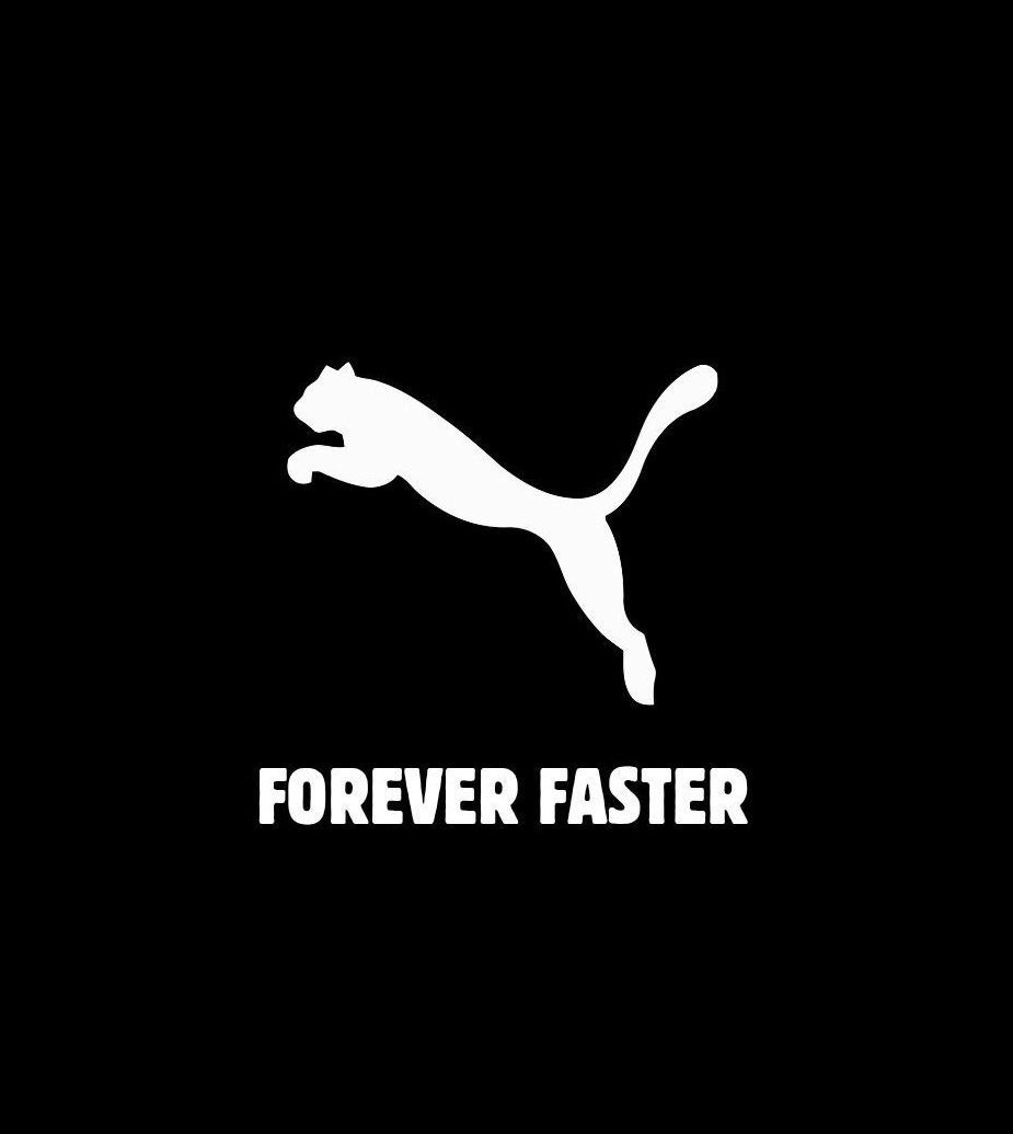 SPEED CAT