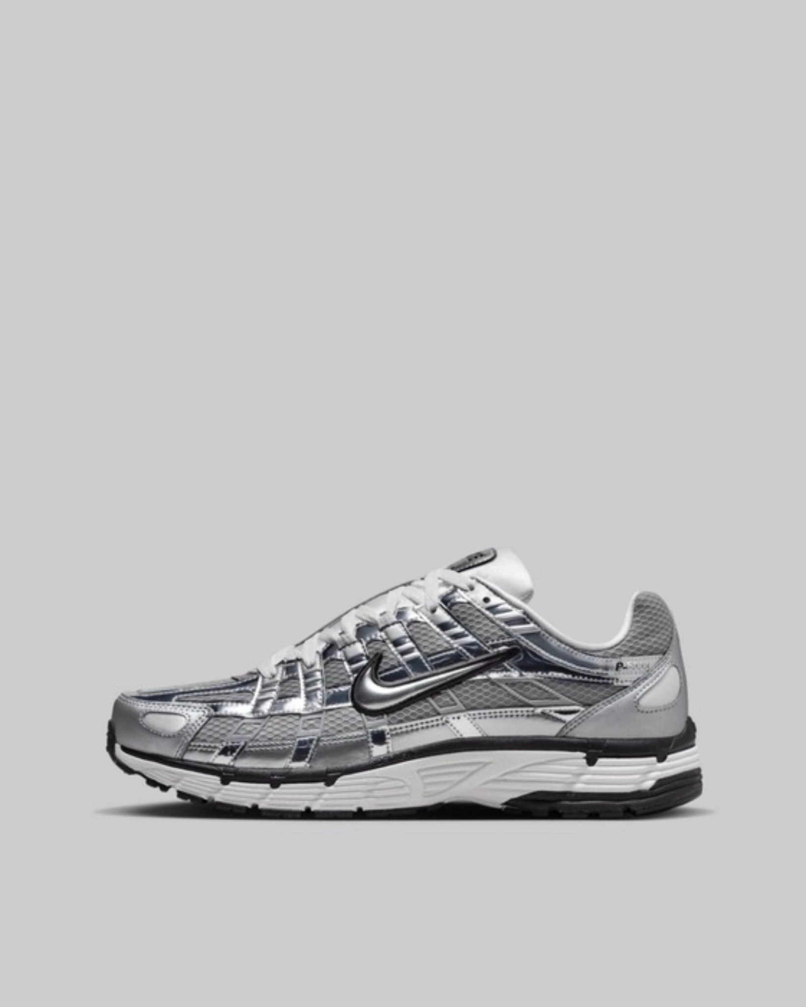 P-6000 Metallic Silver 3