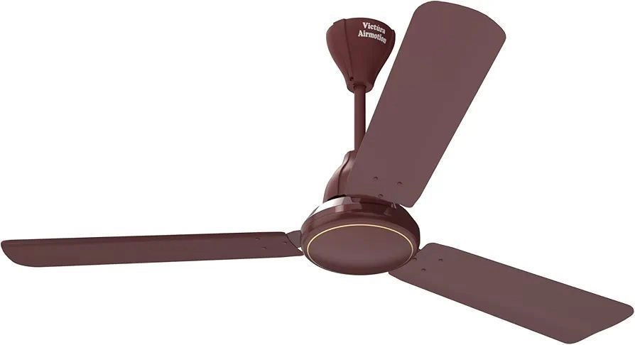 RENACER BLDC 1