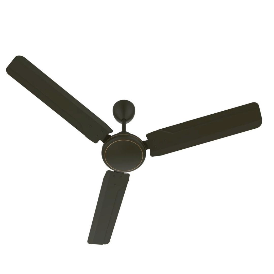 RENACER BLDC 2