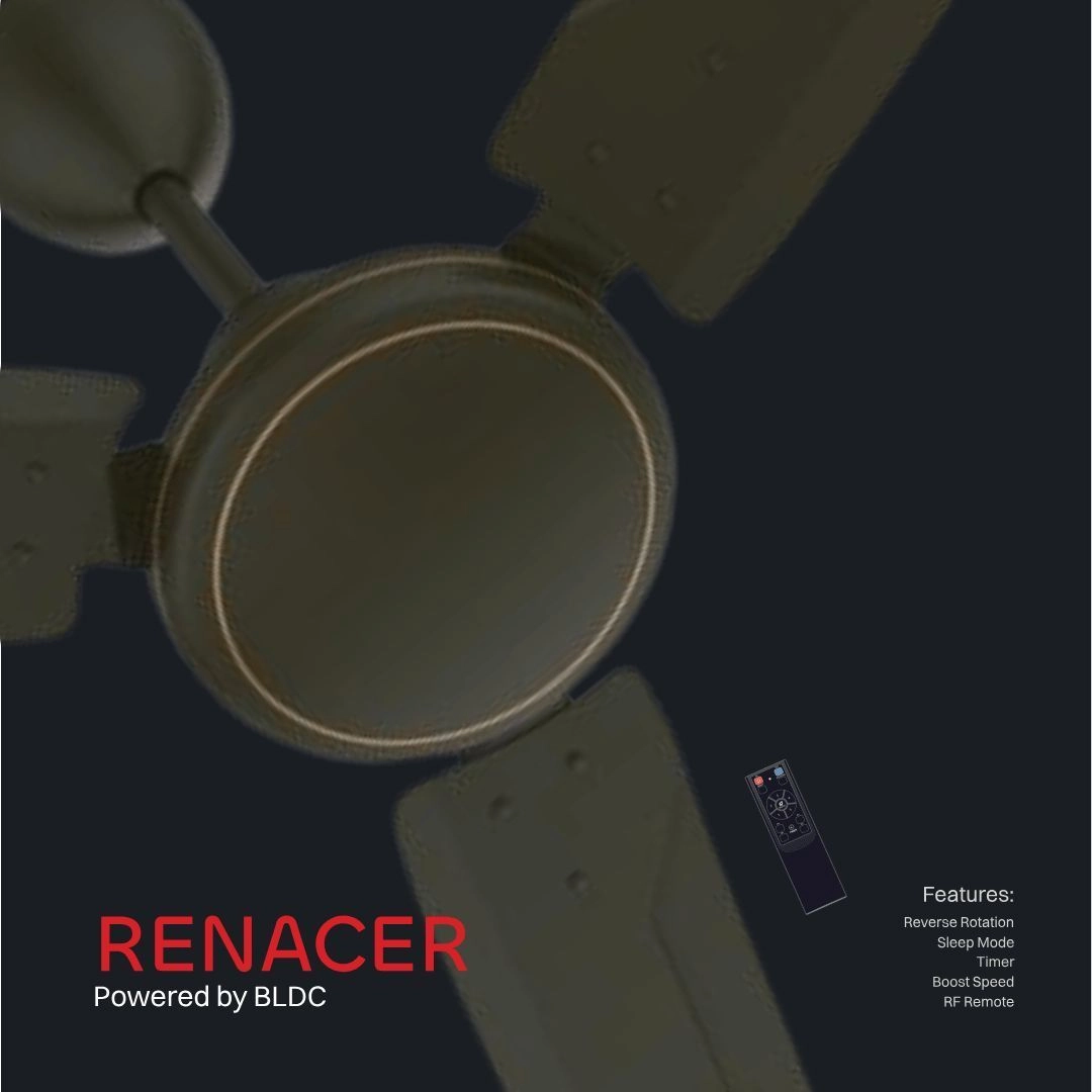 RENACER BLDC 3