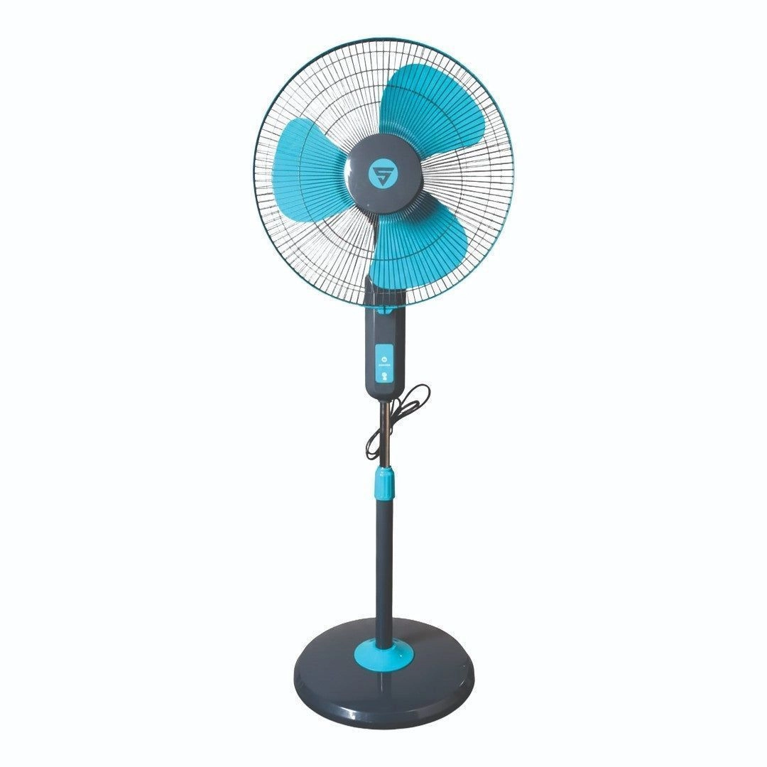 Super Visiree (Pedestal) 1