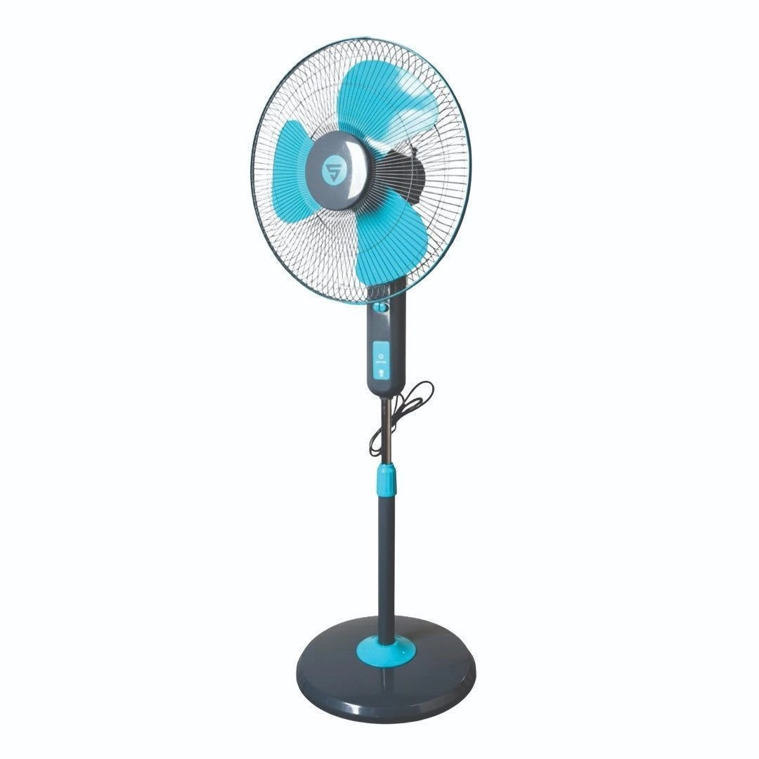 Super Visiree (Pedestal) 2