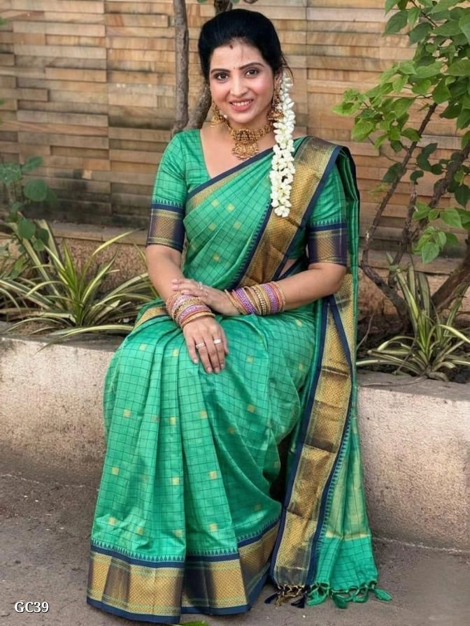 Facny Checked Saree