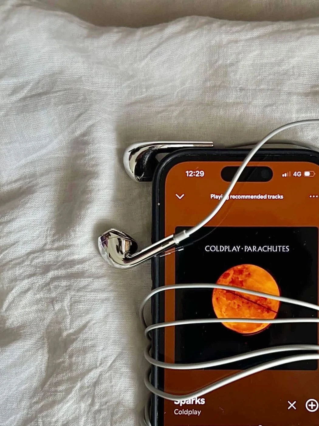 Chrome Earphones 1