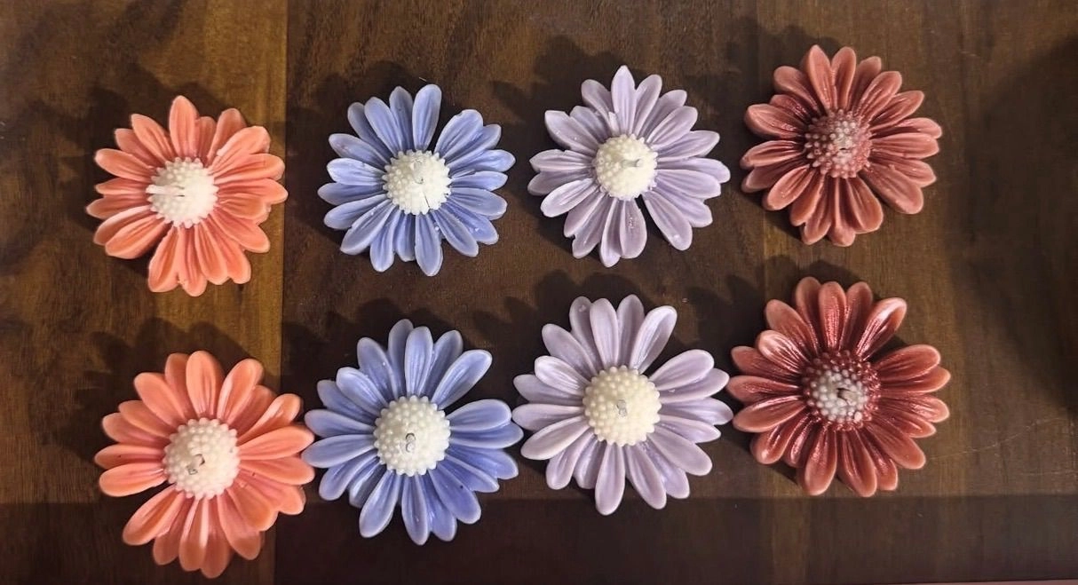 Daisy scented candle mix colour scent 2 pcs