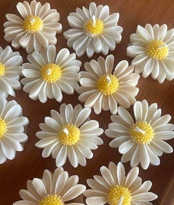 White daisy candle 5 pcs