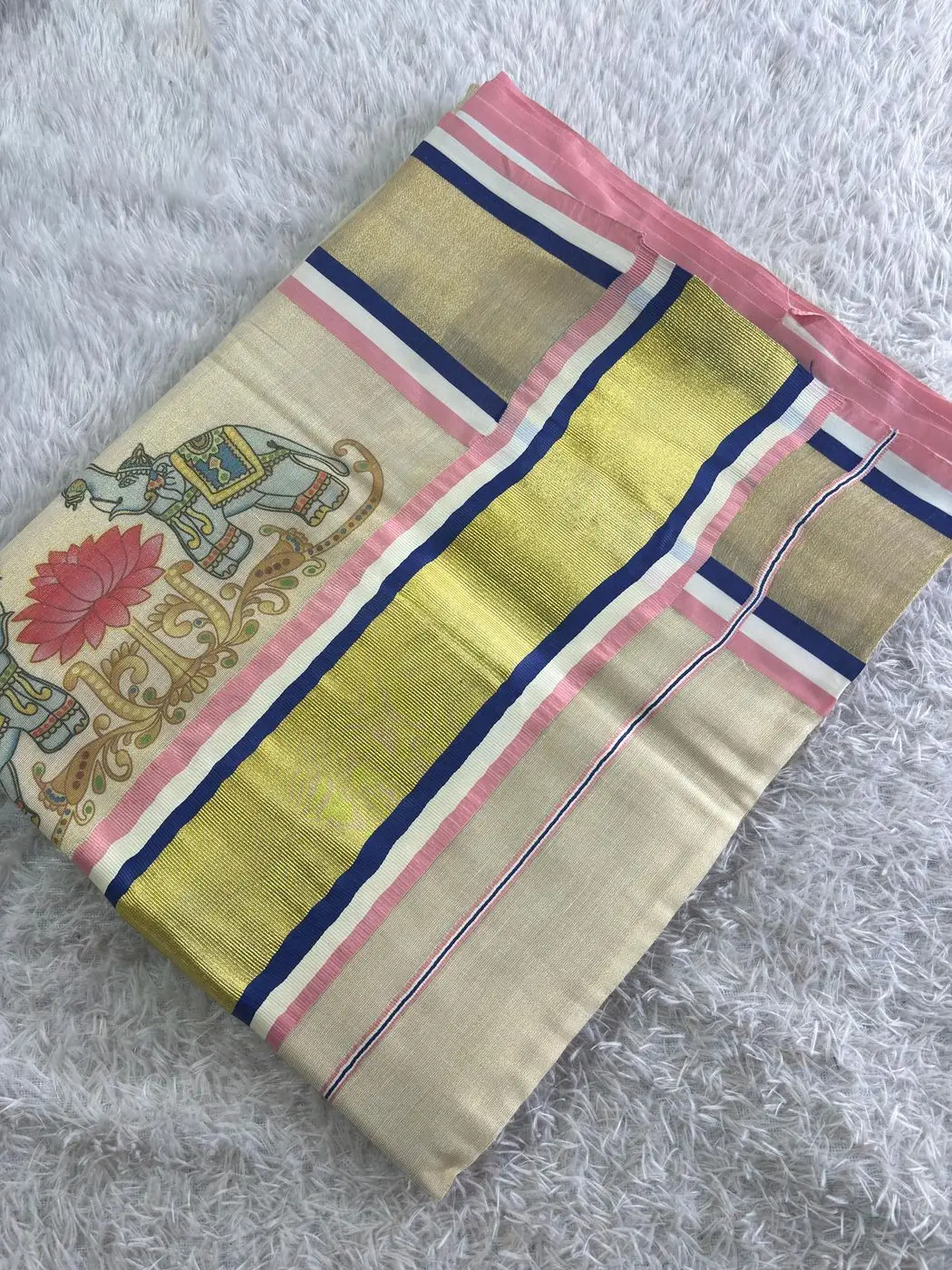Rajachitra digital printed Tissue Saree 6