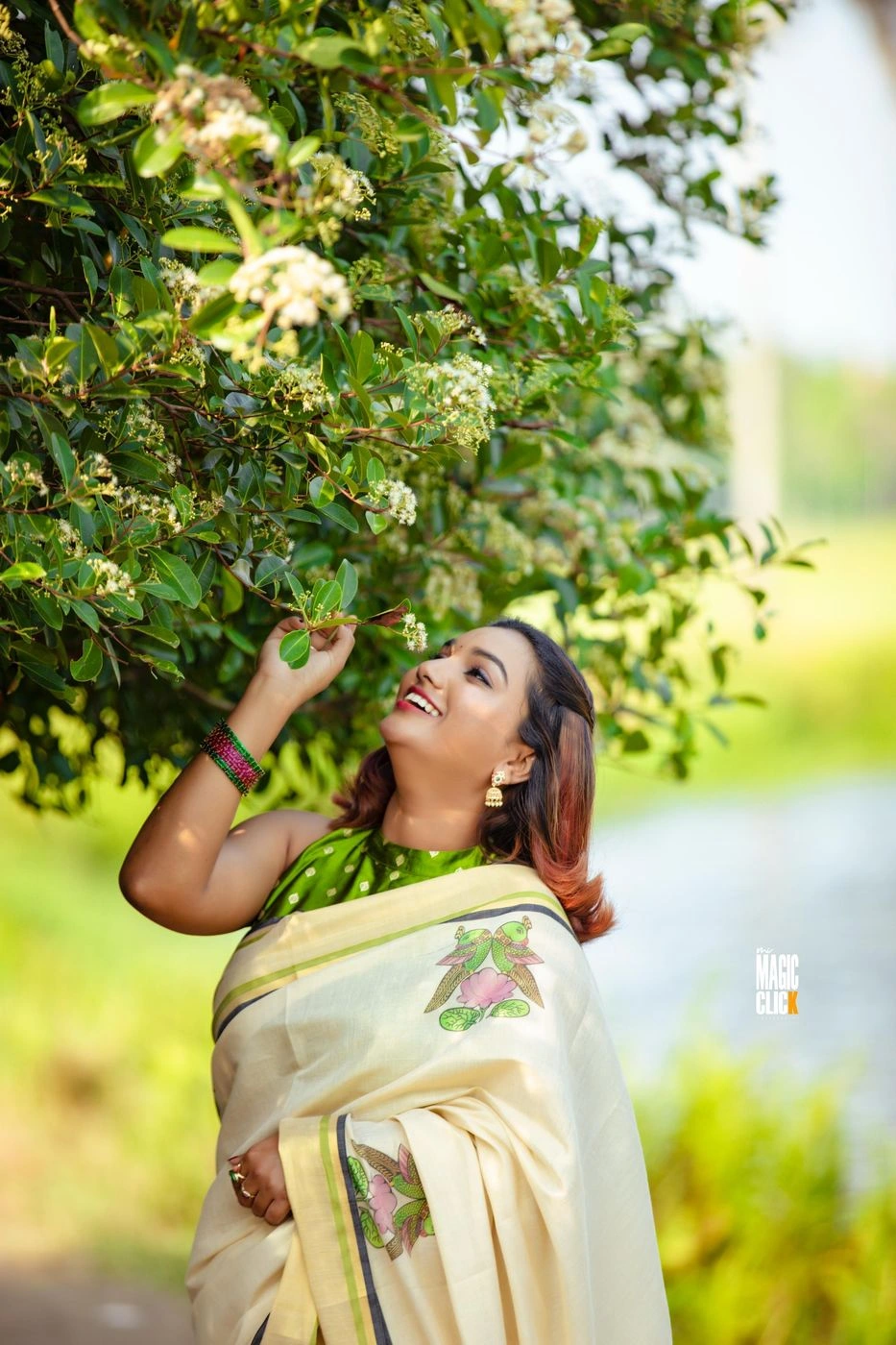Rajachitra digital printed Tissue Saree 7