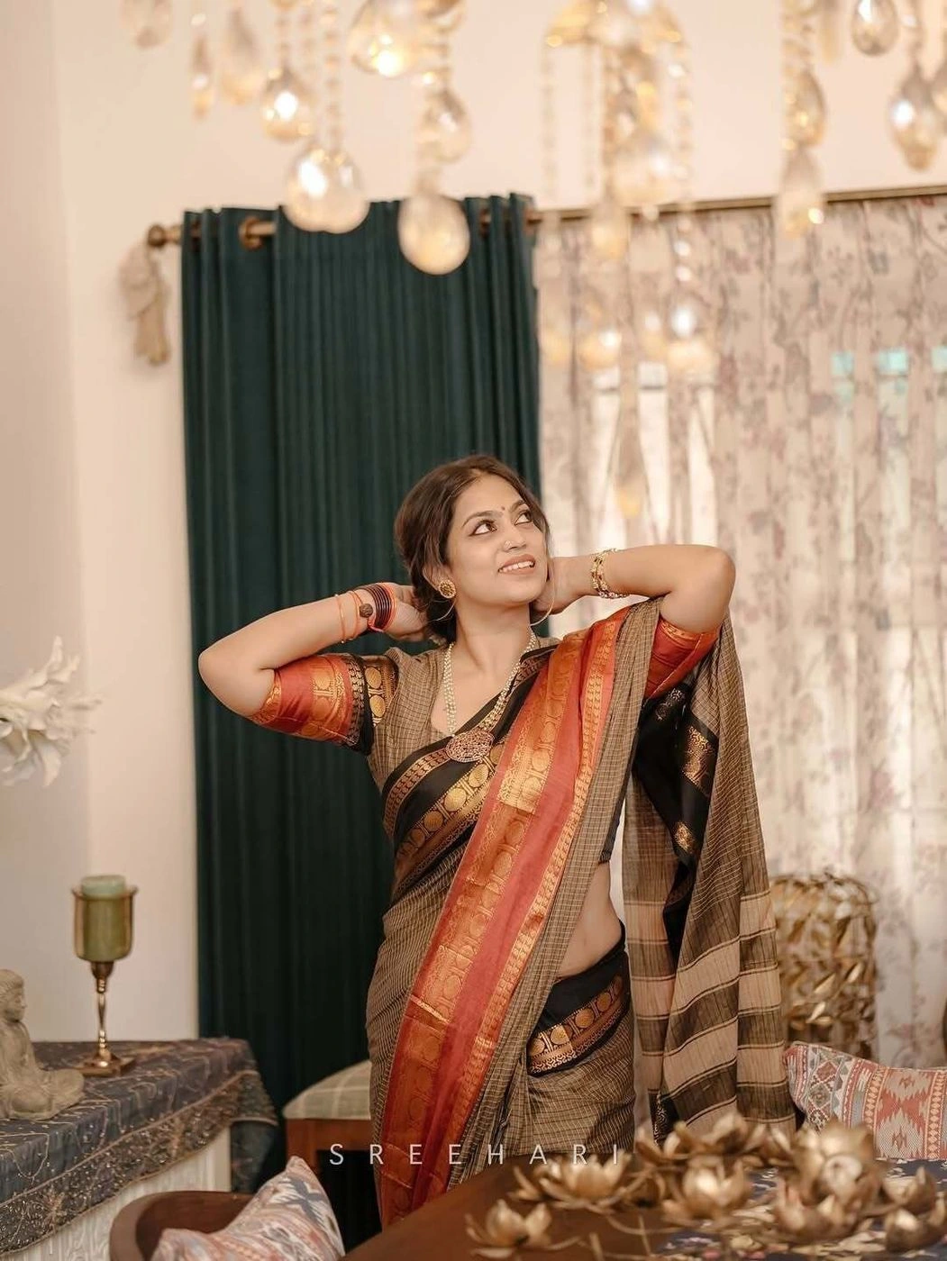 Ganga Jamuna border Jari Checks Chettinad cotton Saree 3