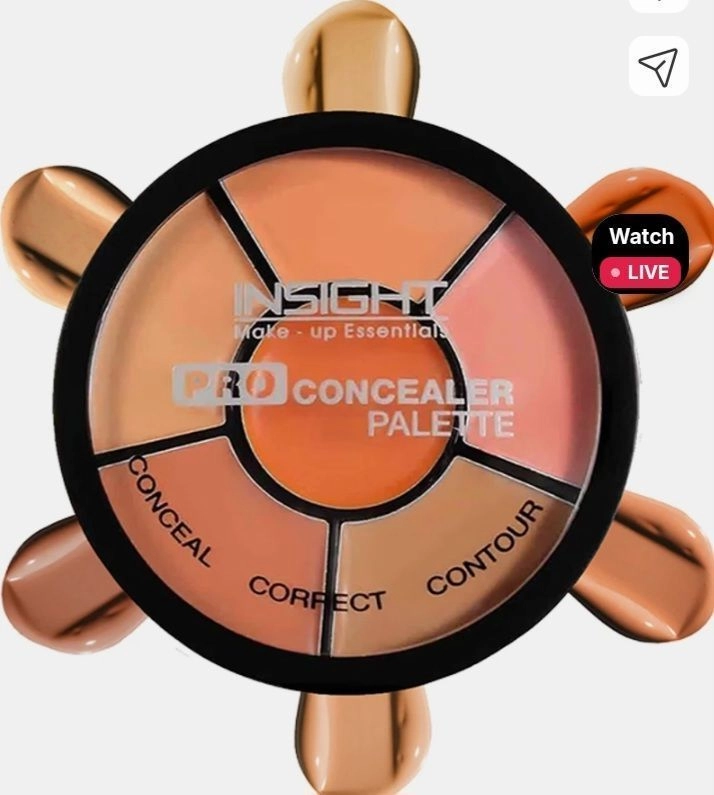 Insight Cosmetics Pro Concealer Palette