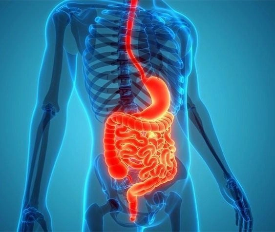 “Balance Your Digestion, Naturally.”