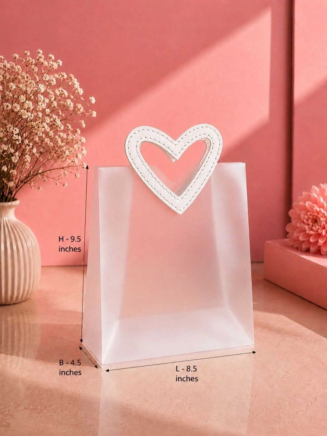 Premium Transparent Bag  (LARGE)