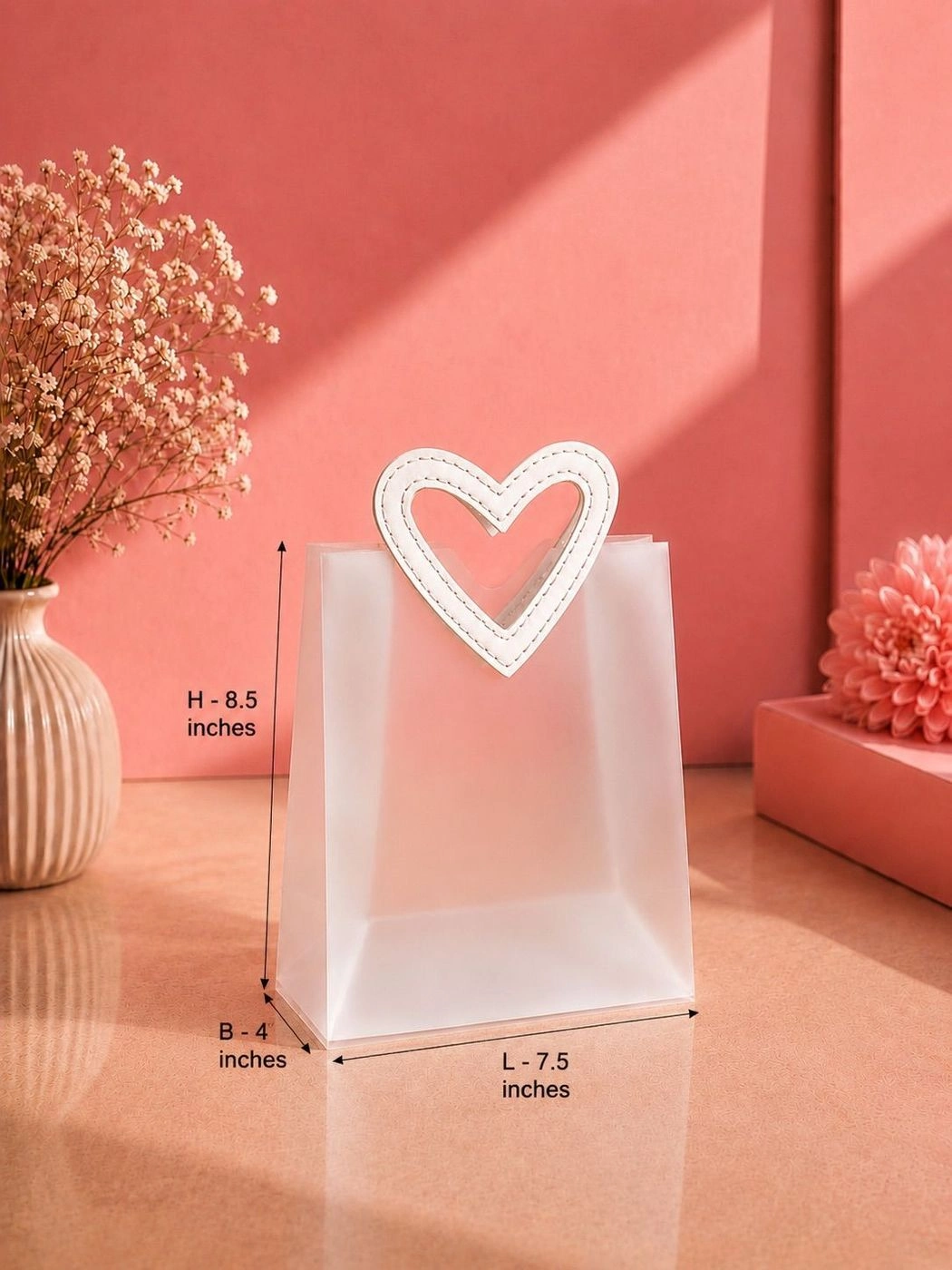 Premium Transparent Bag )medium)