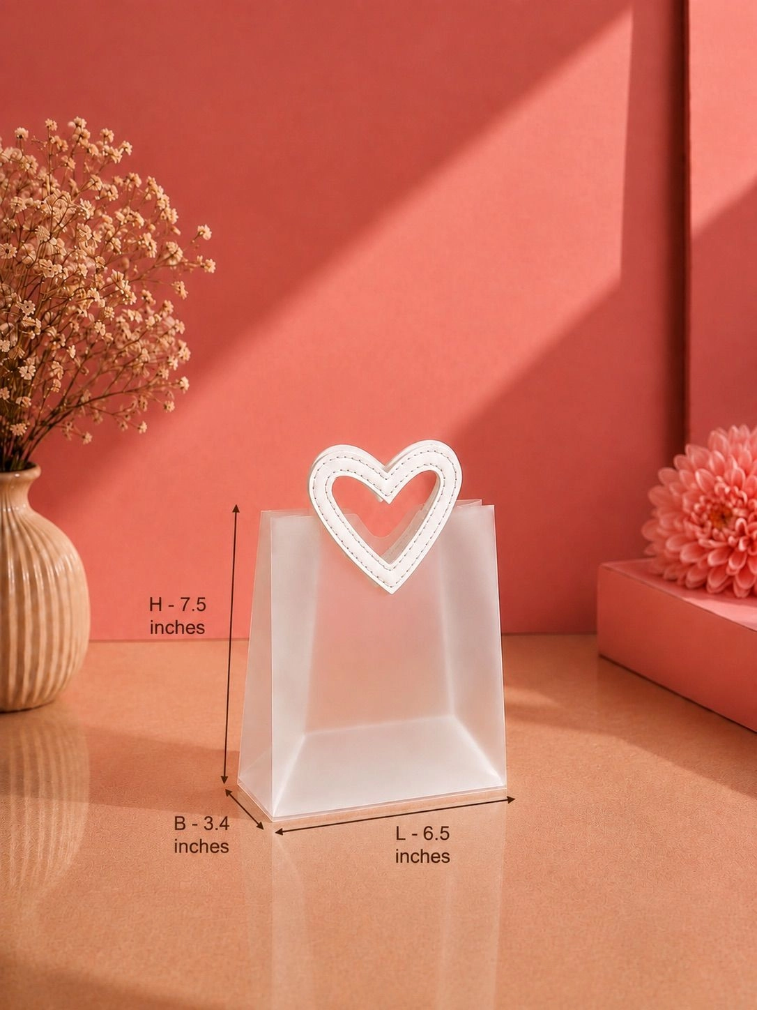 Premium Transparent Bag  (small)
