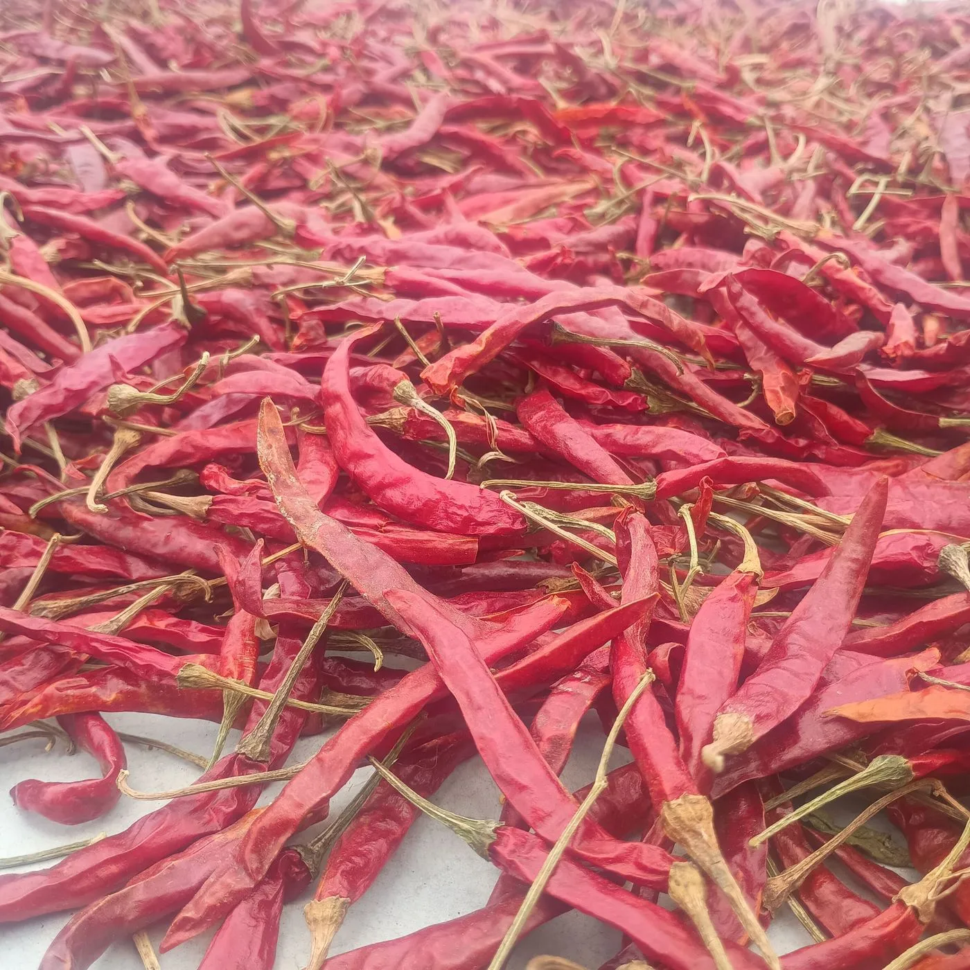 Fullness chilli powder 500g 4