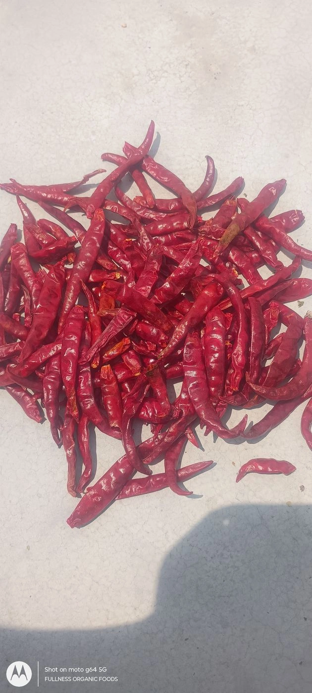 Fullness chilli powder 500g 5