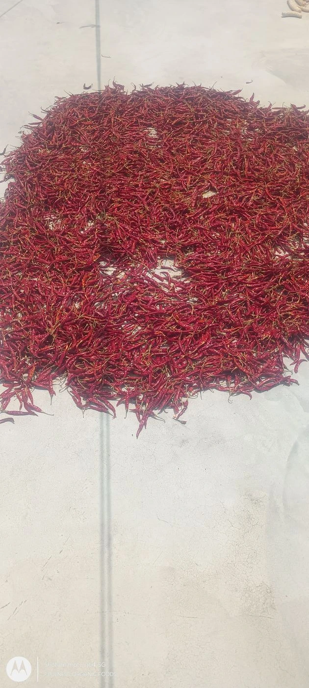 Fullness chilli powder 500g 7
