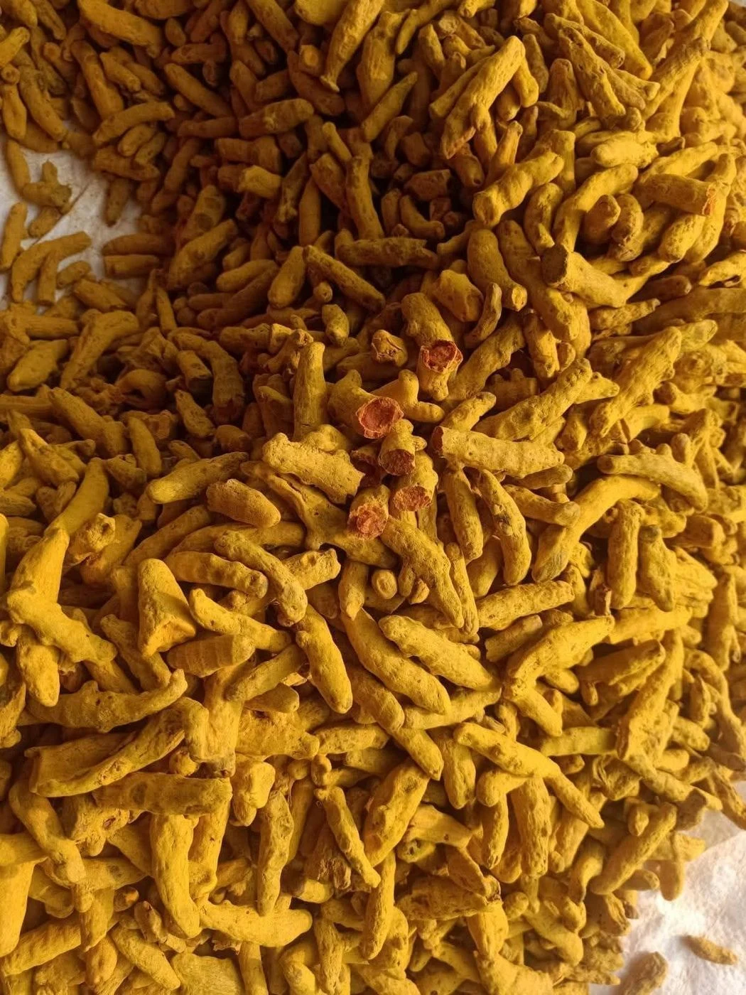 Fullness Haldi powder 500g 6