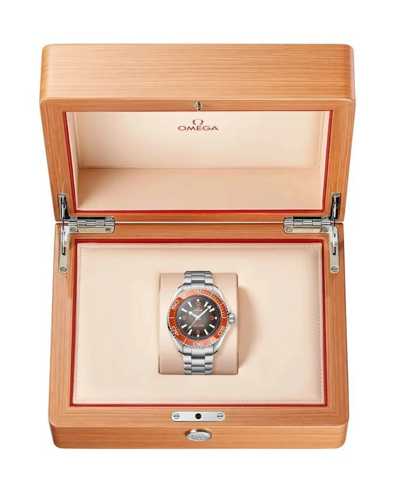 Omega Planet Ocean Master Chronograph Brown Dial 4