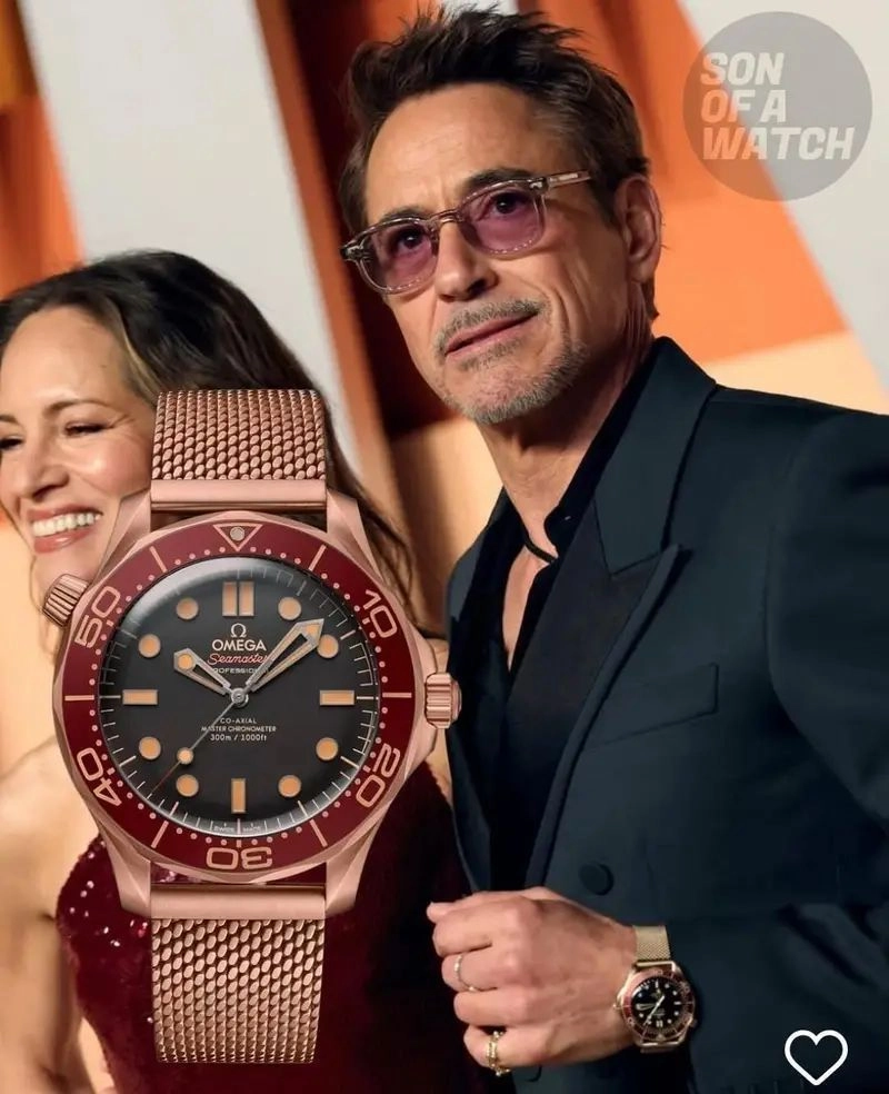 Omega Seamaster Diver 300M Bronze Edition 2