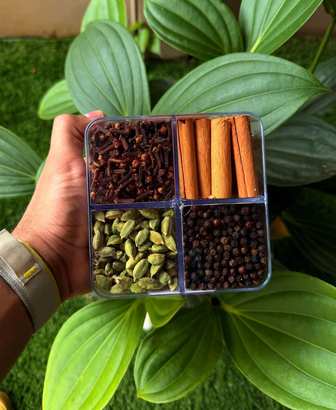 Spice Gift Box