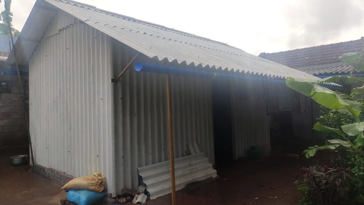 Metal colour sheet roof 10