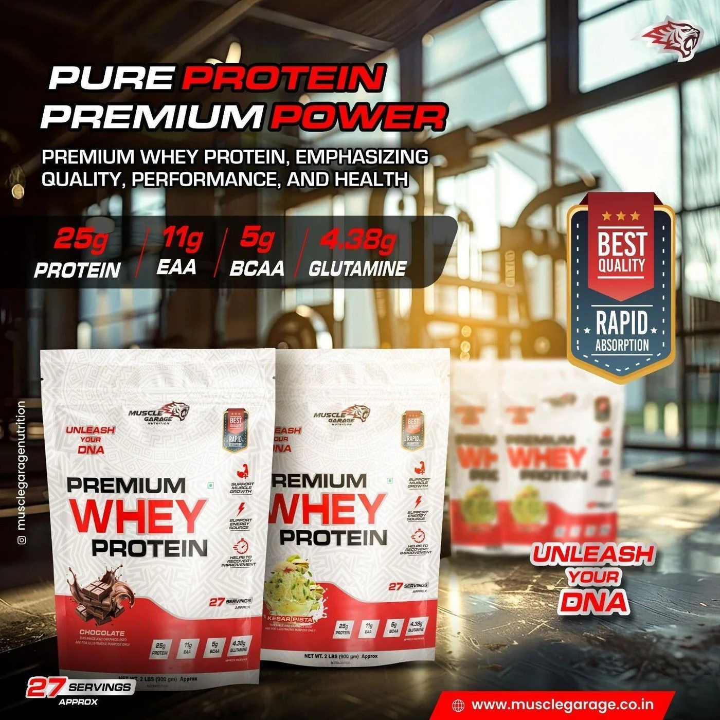 MG Premium Whey Protein 900Gm (2 Lbs) | Free Shaker 3
