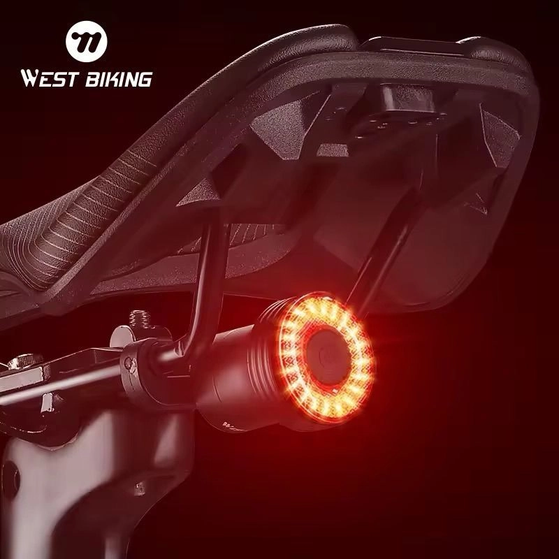 WB smart tail light 1