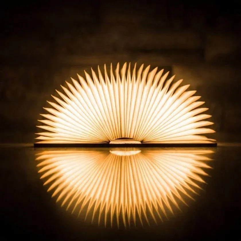 Book Lamp Rechargeable LED Book Night Lamp | Best Unique Gifts Ever | Portable Reading Lamp | (Walnut Wood)