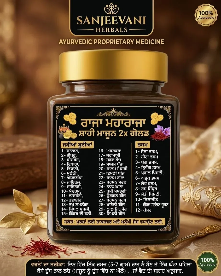 Raja Maharaja Shahi Majun 2x Gold