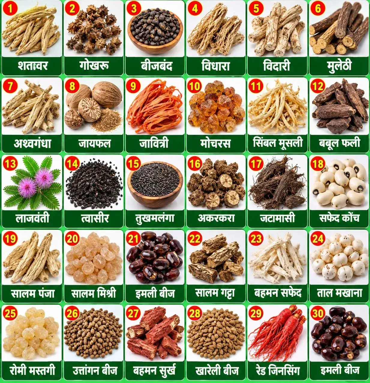Shahi Majun Power