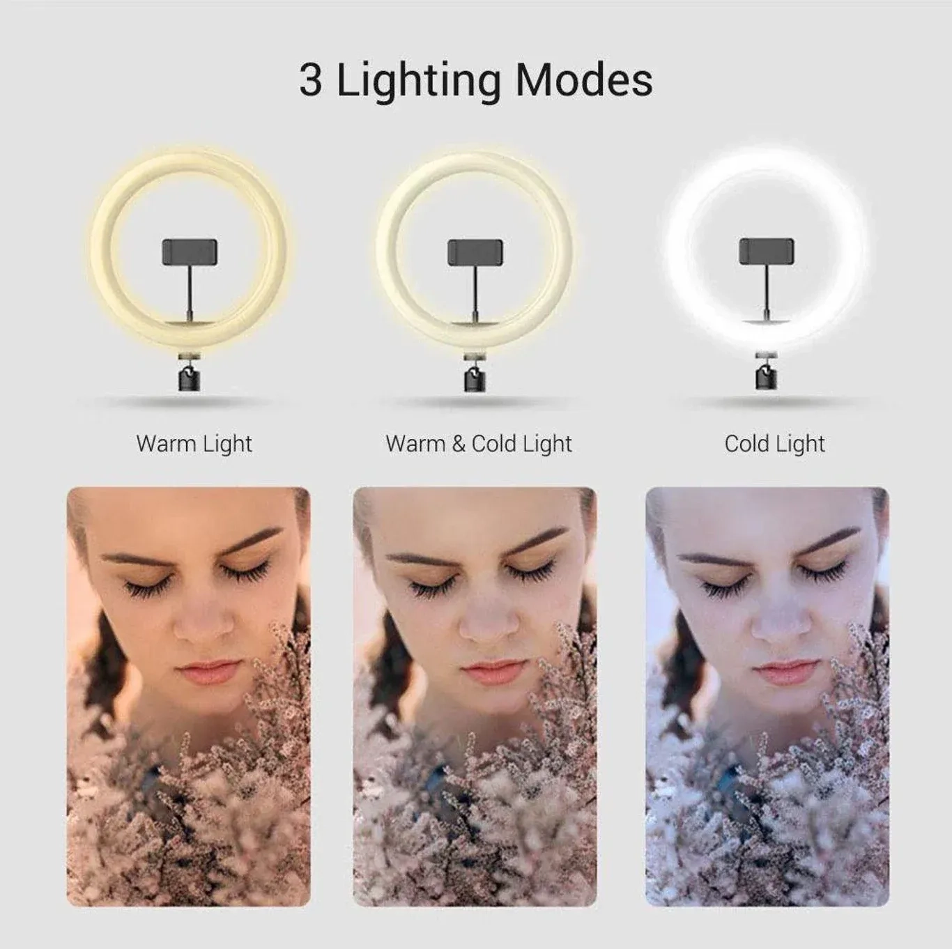 12" ringh light 2